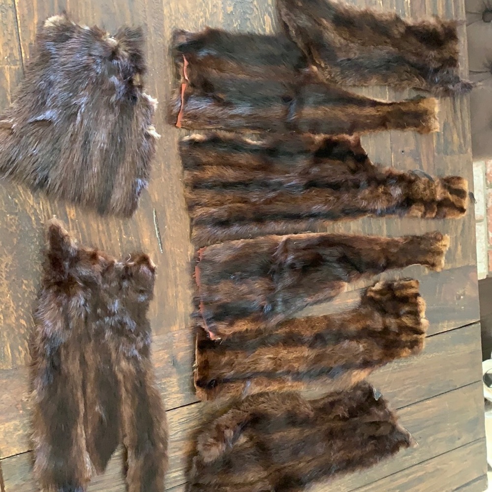 Vintage fur remnants .Beautiful brown with dark striping.8 pieces vary in size.